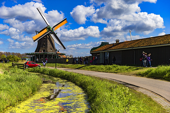 荷兰的农业旅游(资料图)