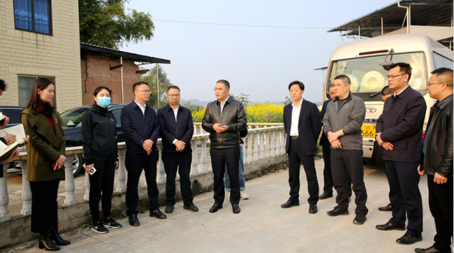 泸县县委副书记县长曹阳率队调研春耕生产东翼建设以及安全生产工作