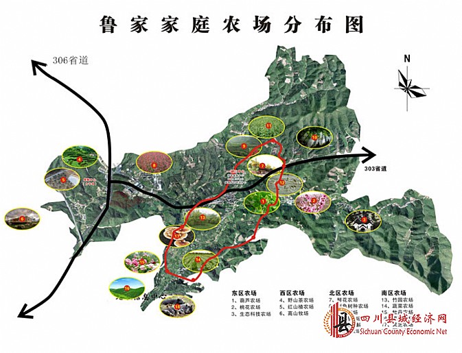 华西村人均收入_人均grp(3)