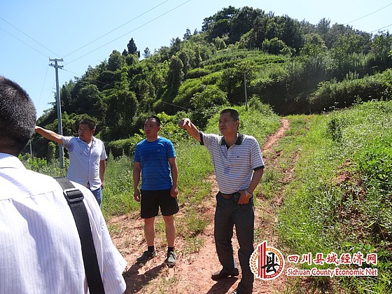2017国内生产总值增长_宜宾市人均生产总值(3)
